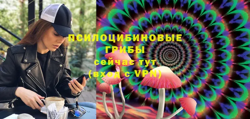 Псилоцибиновые грибы MAGIC MUSHROOMS  Великий Устюг 