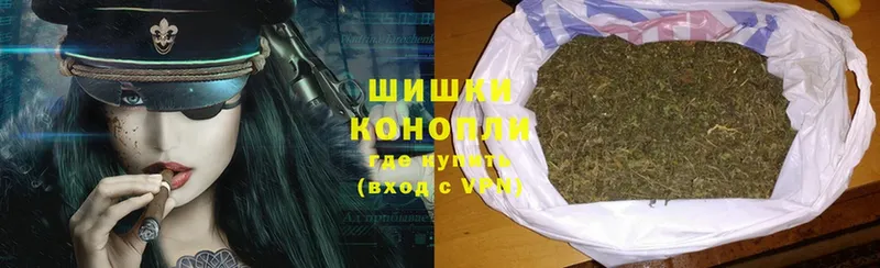 Марихуана SATIVA & INDICA  магазин продажи   Великий Устюг 